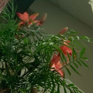 Meet your Posher, Makayla